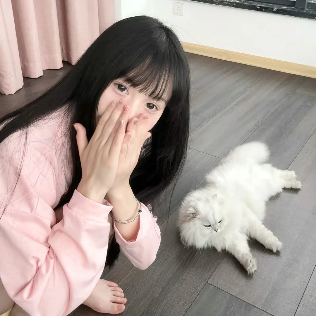 认识狗狗